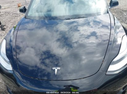 Lot #2996534724 2019 TESLA MODEL 3