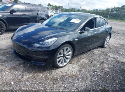 Lot #2996534724 2019 TESLA MODEL 3