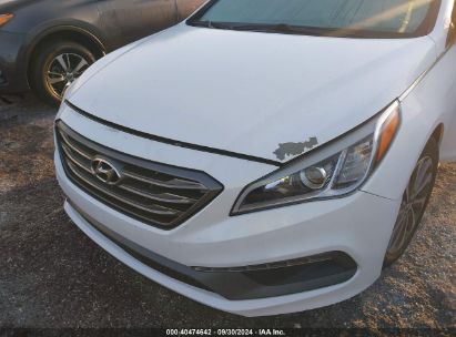 Lot #2996534714 2016 HYUNDAI SONATA SPORT