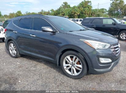 Lot #2996534697 2016 HYUNDAI SANTA FE SPORT 2.0L TURBO