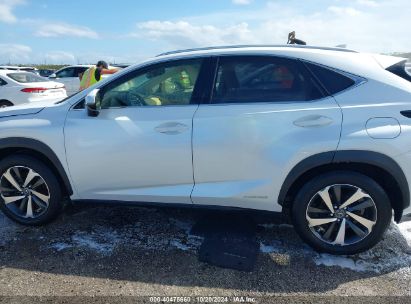 Lot #2992826910 2021 LEXUS NX 300H