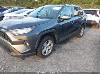 Lot #2996534663 2020 TOYOTA RAV4 XLE