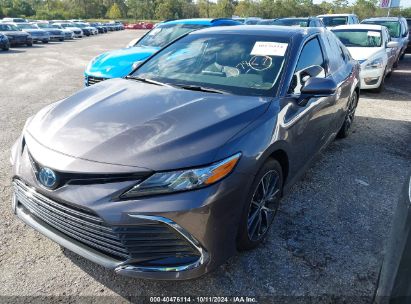 Lot #2996534632 2024 TOYOTA CAMRY HYBRID XLE