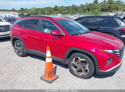 Lot #2996534626 2023 HYUNDAI TUCSON SEL