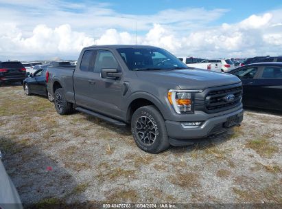 Lot #2992826876 2021 FORD F-150 XLT