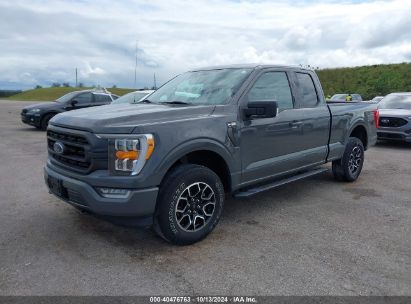 Lot #2992826876 2021 FORD F-150 XLT