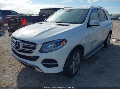 Lot #3037131234 2017 MERCEDES-BENZ GLE 350