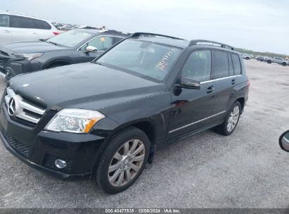 Lot #2992826822 2011 MERCEDES-BENZ GLK 350