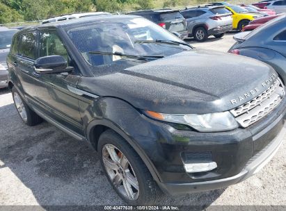 Lot #3004094572 2013 LAND ROVER RANGE ROVER EVOQUE PURE