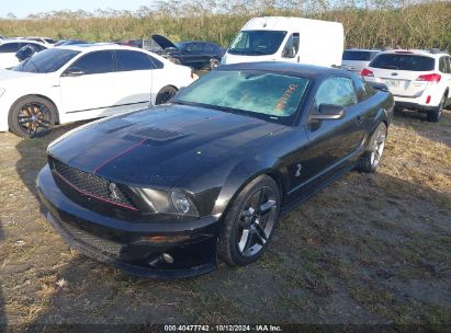 Lot #2996534536 2009 FORD SHELBY GT500