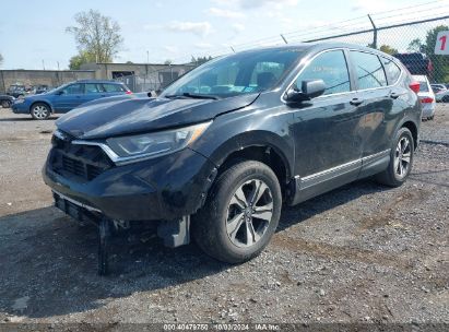 Lot #2996534506 2018 HONDA CR-V LX