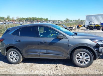 Lot #2990349617 2024 FORD ESCAPE ACTIVE