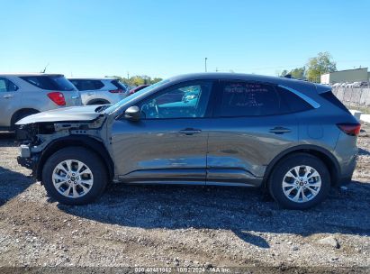 Lot #2990349617 2024 FORD ESCAPE ACTIVE