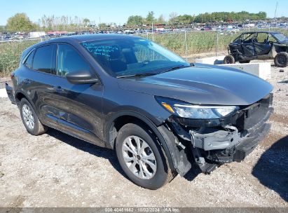 Lot #2990349617 2024 FORD ESCAPE ACTIVE