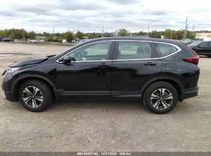 Lot #2992818404 2021 HONDA CR-V AWD SPECIAL EDITION