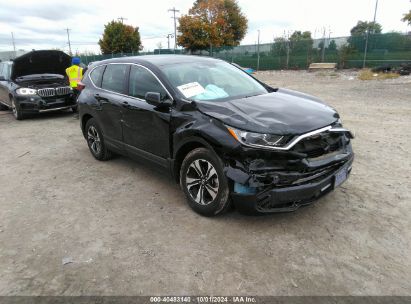 Lot #2992818404 2021 HONDA CR-V AWD SPECIAL EDITION