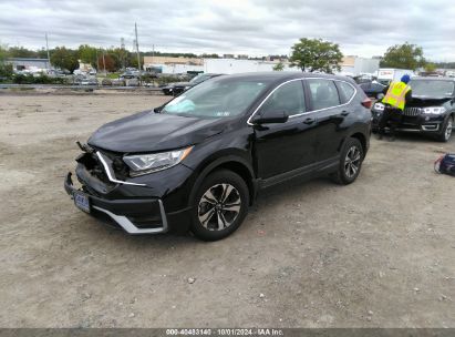 Lot #2992818404 2021 HONDA CR-V AWD SPECIAL EDITION