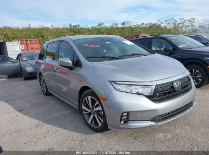 Lot #2992826644 2023 HONDA ODYSSEY TOURING