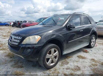 Lot #3010287591 2011 MERCEDES-BENZ M-CLASS ML 350