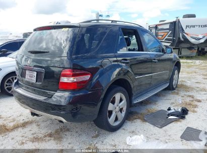 Lot #3010287591 2011 MERCEDES-BENZ M-CLASS ML 350