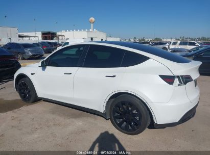 Lot #3035086641 2023 TESLA MODEL Y AWD/LONG RANGE DUAL MOTOR ALL-WHEEL DRIVE