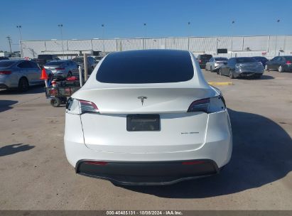 Lot #3035086641 2023 TESLA MODEL Y AWD/LONG RANGE DUAL MOTOR ALL-WHEEL DRIVE