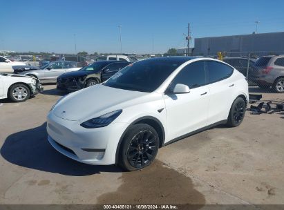 Lot #3035086641 2023 TESLA MODEL Y AWD/LONG RANGE DUAL MOTOR ALL-WHEEL DRIVE