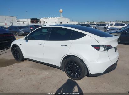 Lot #3035086641 2023 TESLA MODEL Y AWD/LONG RANGE DUAL MOTOR ALL-WHEEL DRIVE