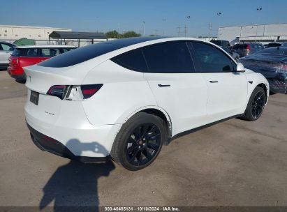 Lot #3035086641 2023 TESLA MODEL Y AWD/LONG RANGE DUAL MOTOR ALL-WHEEL DRIVE