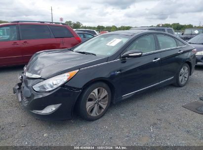 Lot #2992826172 2013 HYUNDAI SONATA HYBRID LIMITED