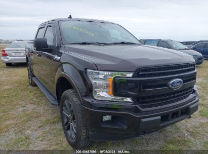 Lot #2995285355 2020 FORD F-150 XLT