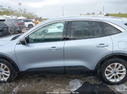 Lot #2995285344 2022 FORD ESCAPE SE