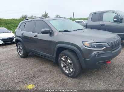 Lot #3052077205 2019 JEEP CHEROKEE TRAILHAWK 4X4