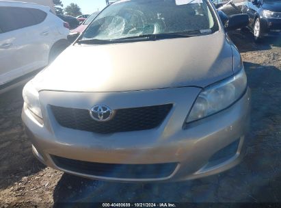 Lot #3026758975 2010 TOYOTA COROLLA