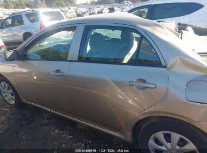 Lot #3026758975 2010 TOYOTA COROLLA