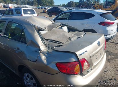 Lot #3026758975 2010 TOYOTA COROLLA