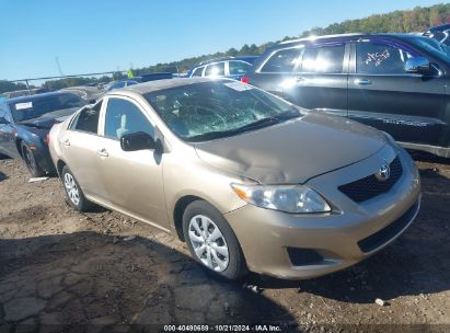 Lot #3026758975 2010 TOYOTA COROLLA