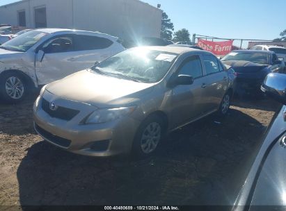 Lot #3026758975 2010 TOYOTA COROLLA