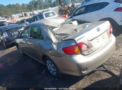 Lot #3026758975 2010 TOYOTA COROLLA