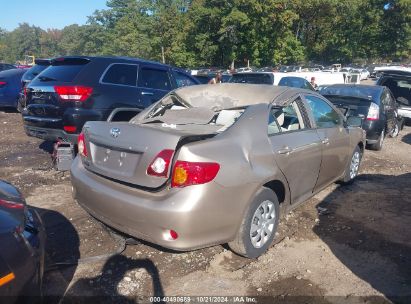 Lot #3026758975 2010 TOYOTA COROLLA