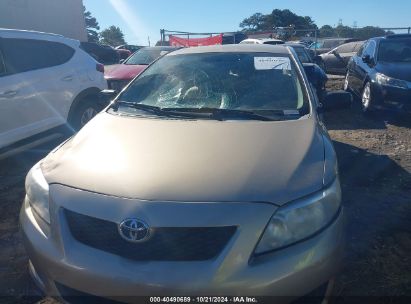 Lot #3026758975 2010 TOYOTA COROLLA