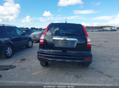 Lot #3035077147 2010 HONDA CR-V EX