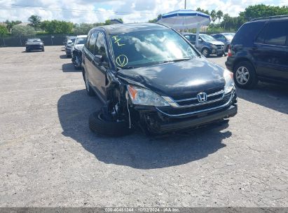 Lot #3035077147 2010 HONDA CR-V EX