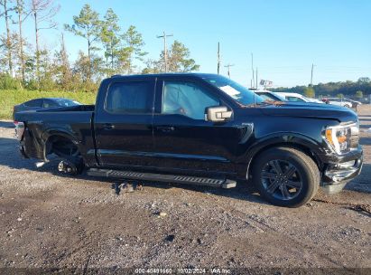 Lot #3049253863 2023 FORD F-150 XLT