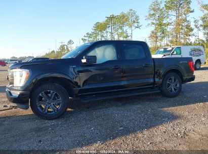 Lot #3049253863 2023 FORD F-150 XLT