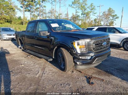 Lot #3049253863 2023 FORD F-150 XLT