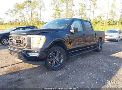 Lot #3049253863 2023 FORD F-150 XLT