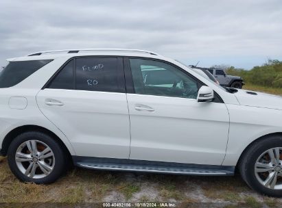 Lot #2992826224 2015 MERCEDES-BENZ ML 350