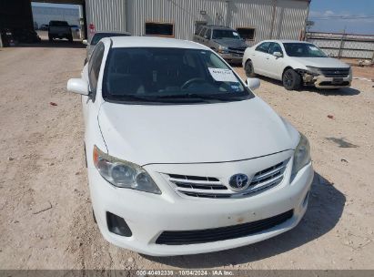 Lot #3035086596 2013 TOYOTA COROLLA LE