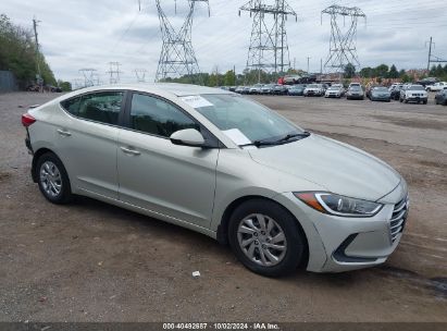 Lot #2996534357 2017 HYUNDAI ELANTRA SE